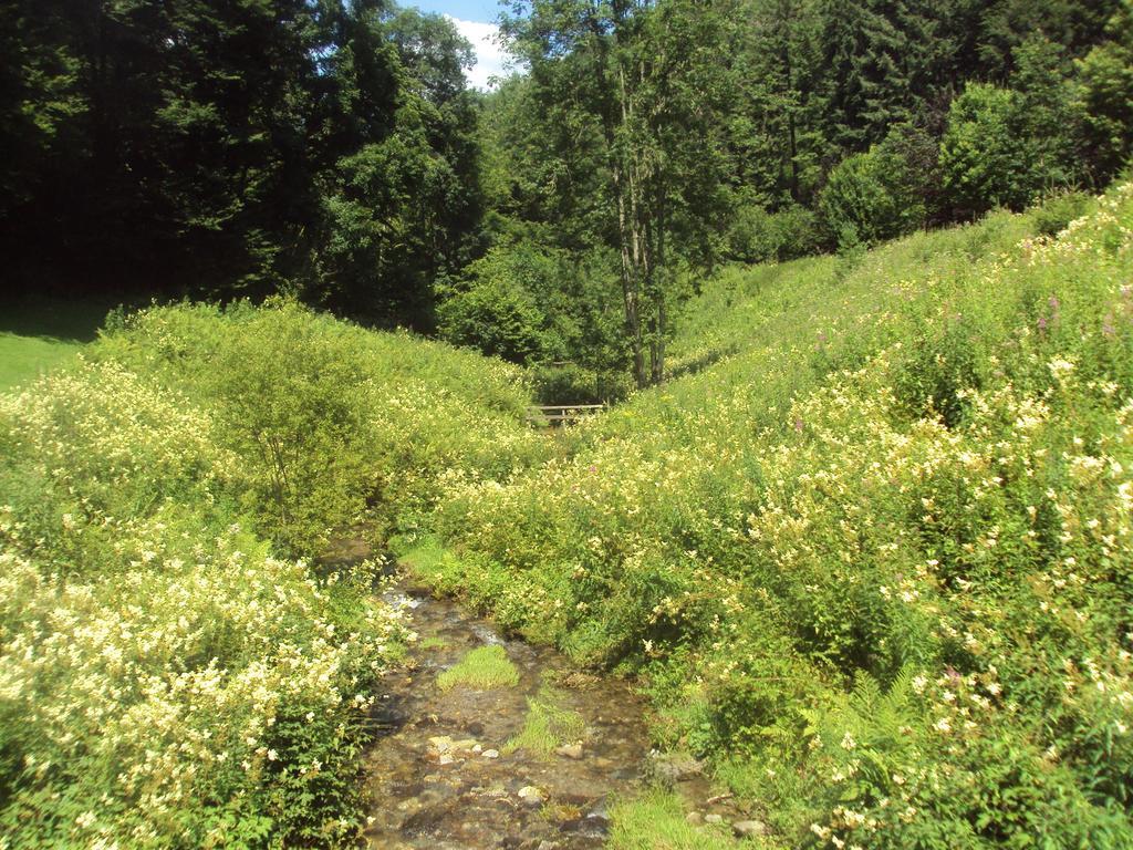 Le Vieux Moulin Bohan Eksteriør bilde